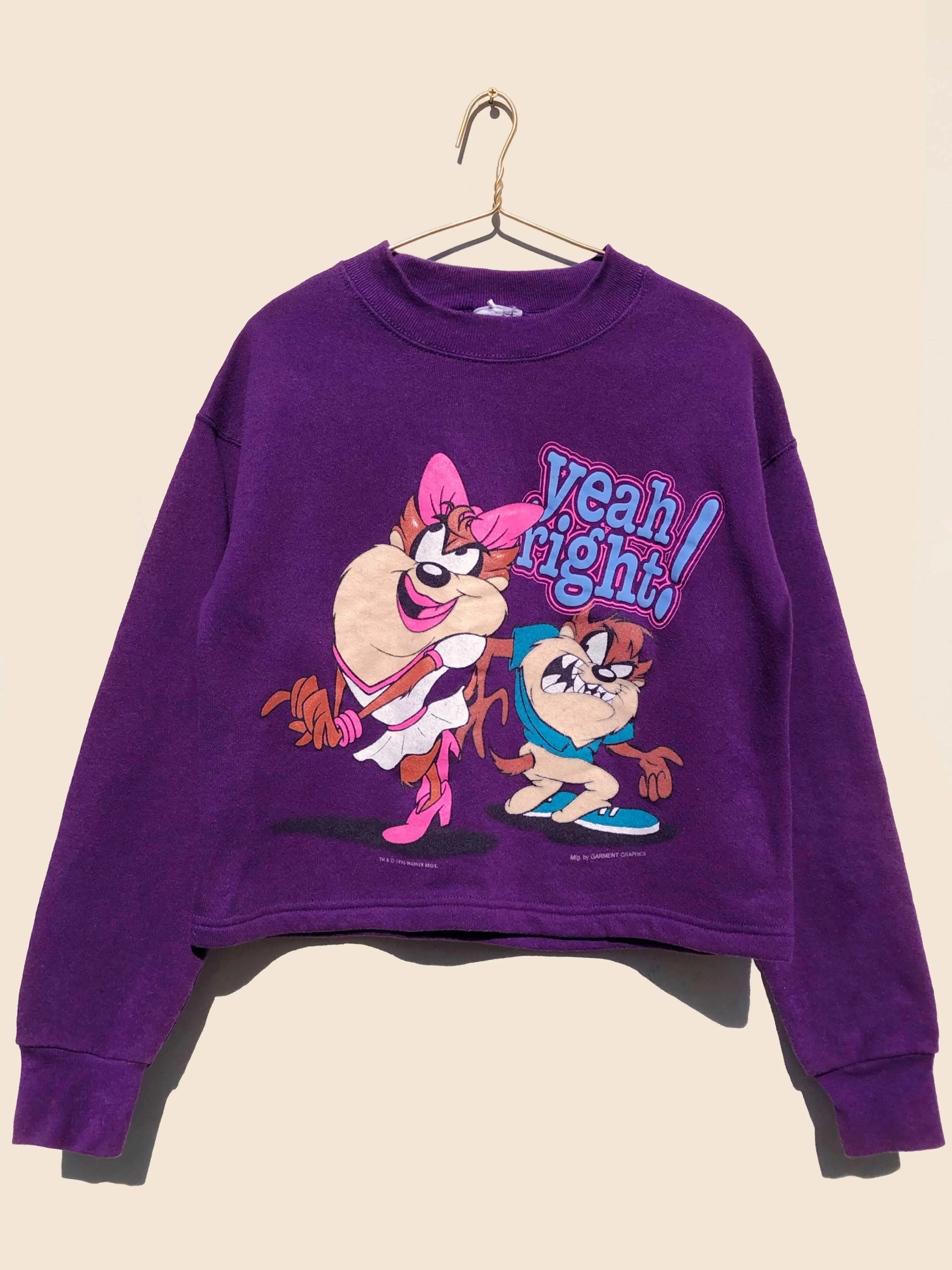 90's Looney Tunes Taz Sweater Purple (S)