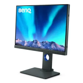 BenQ SW240 24.1 Adobe RGB Photographer Monitor with Shading Hood